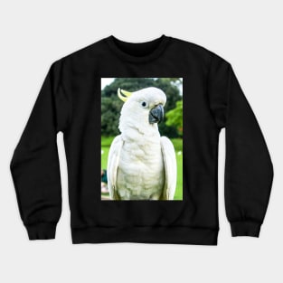 Sulphur-Crested Cockatoo Crewneck Sweatshirt